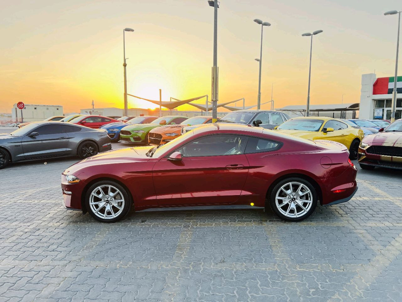 Ford Mustang - Image 5