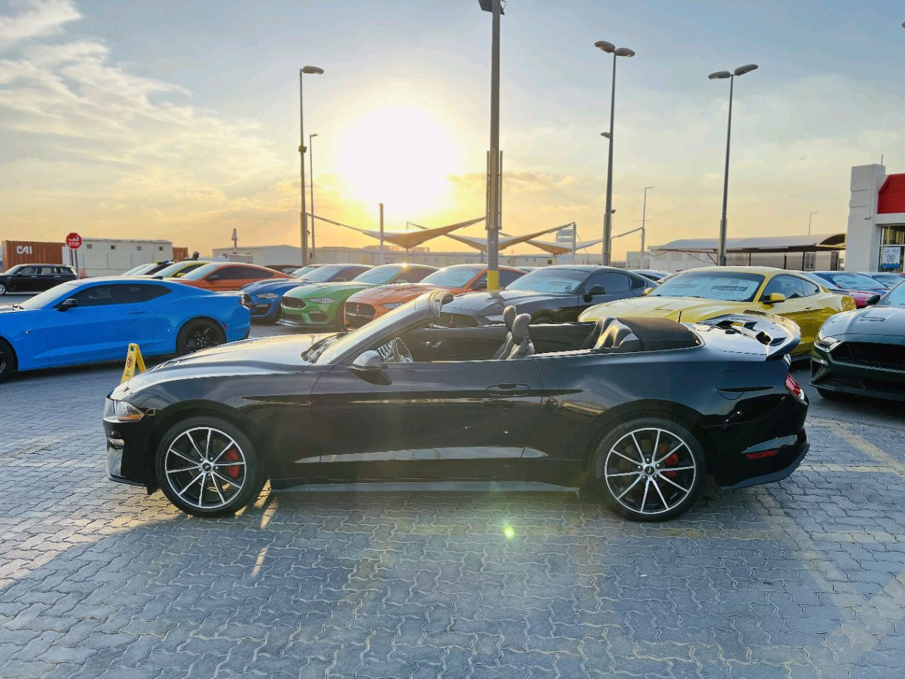 Ford Mustang - Image 3
