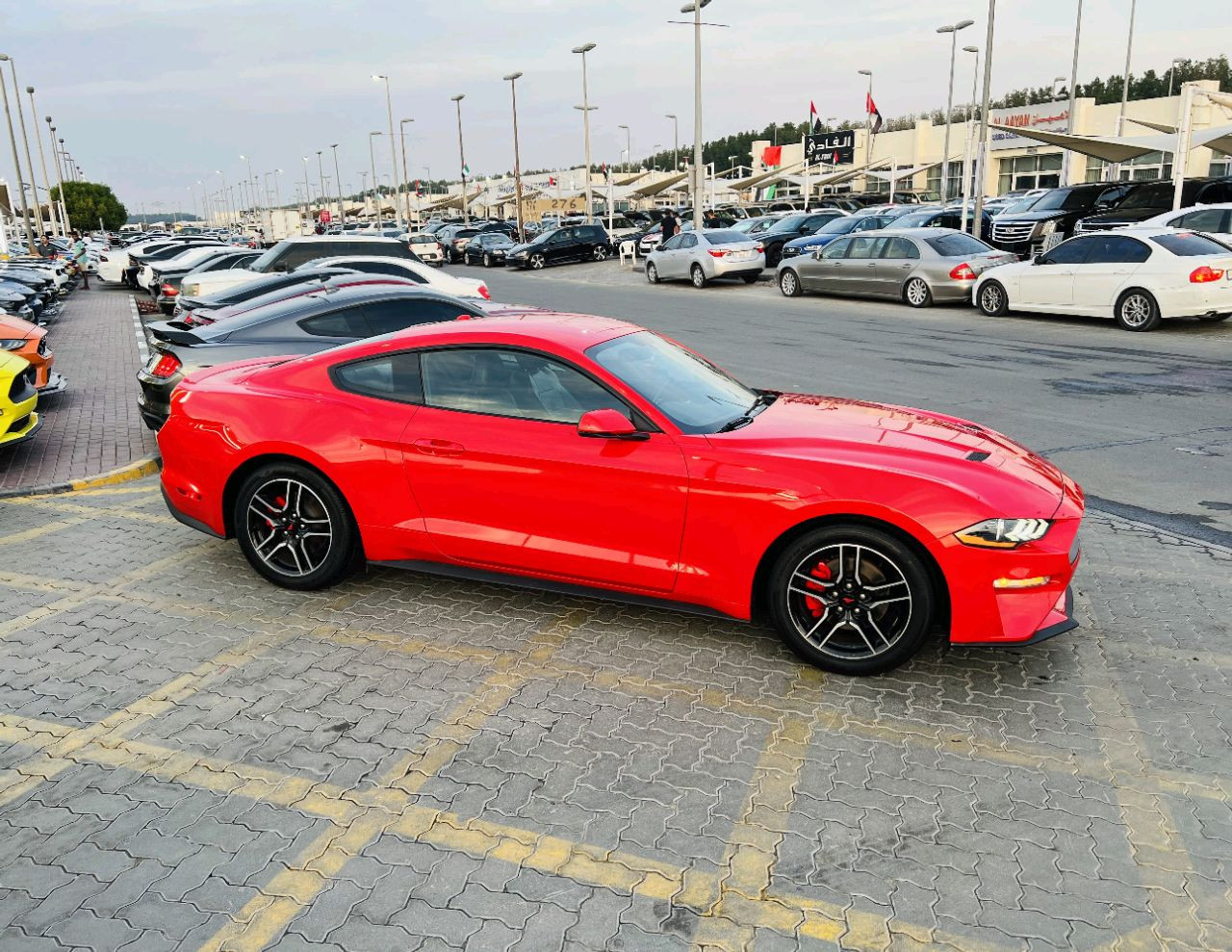 Ford Mustang - Image 8