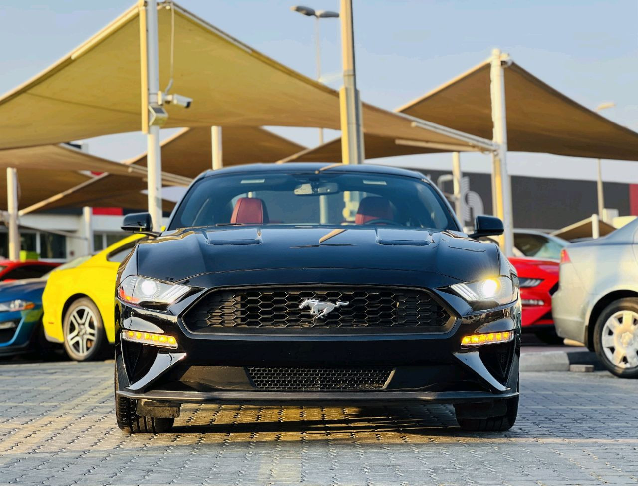 Ford Mustang - Image 3