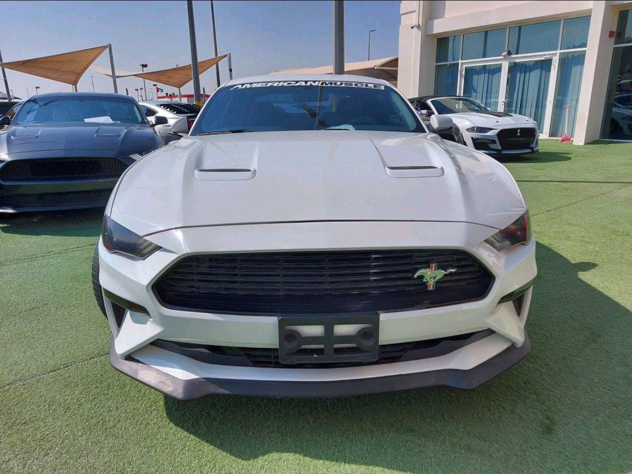 Ford Mustang - Image 4