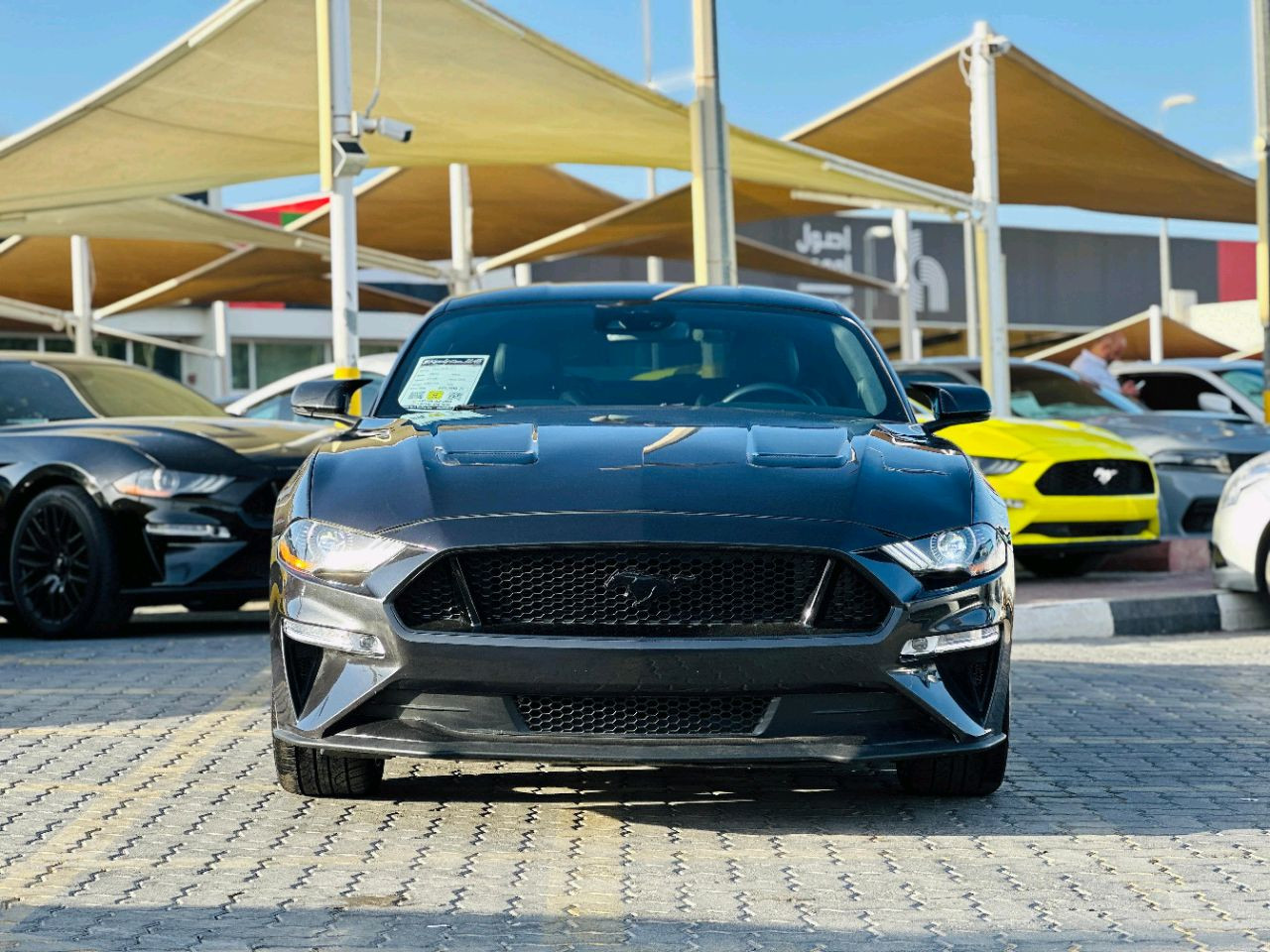 Ford Mustang - Image 3