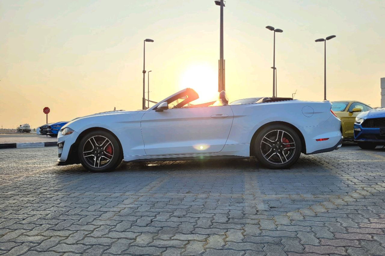 Ford Mustang - Image 6