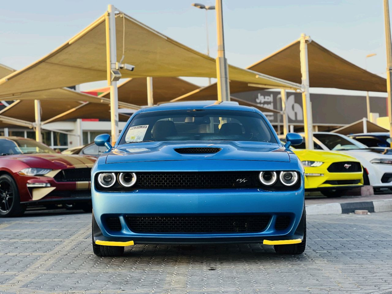 Dodge Challenger - Image 3