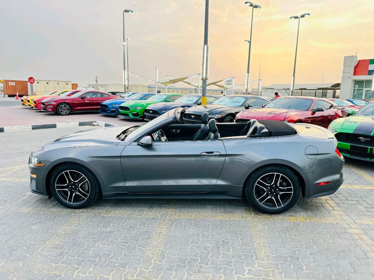 Ford Mustang - Image 6