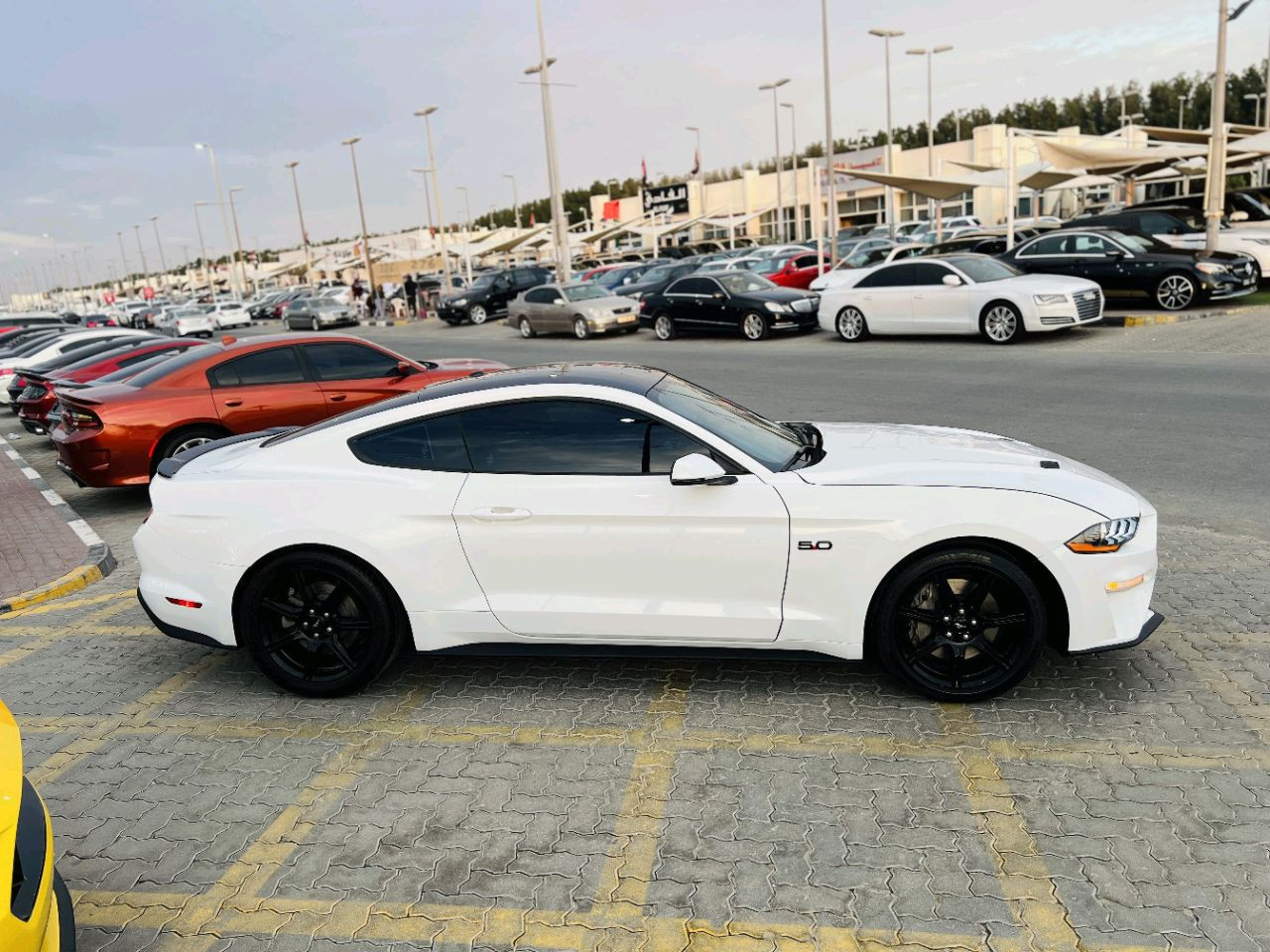Ford Mustang - Image 5
