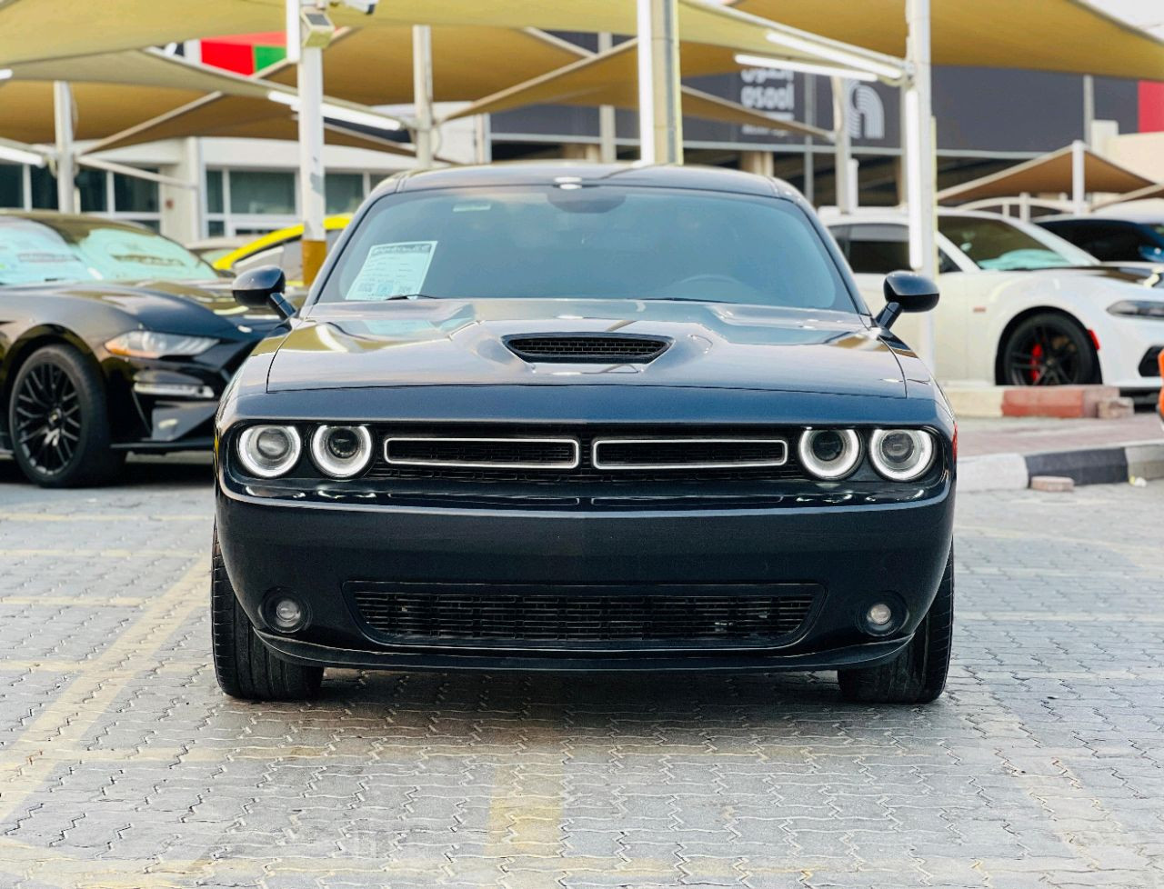 Dodge Challenger - Image 4