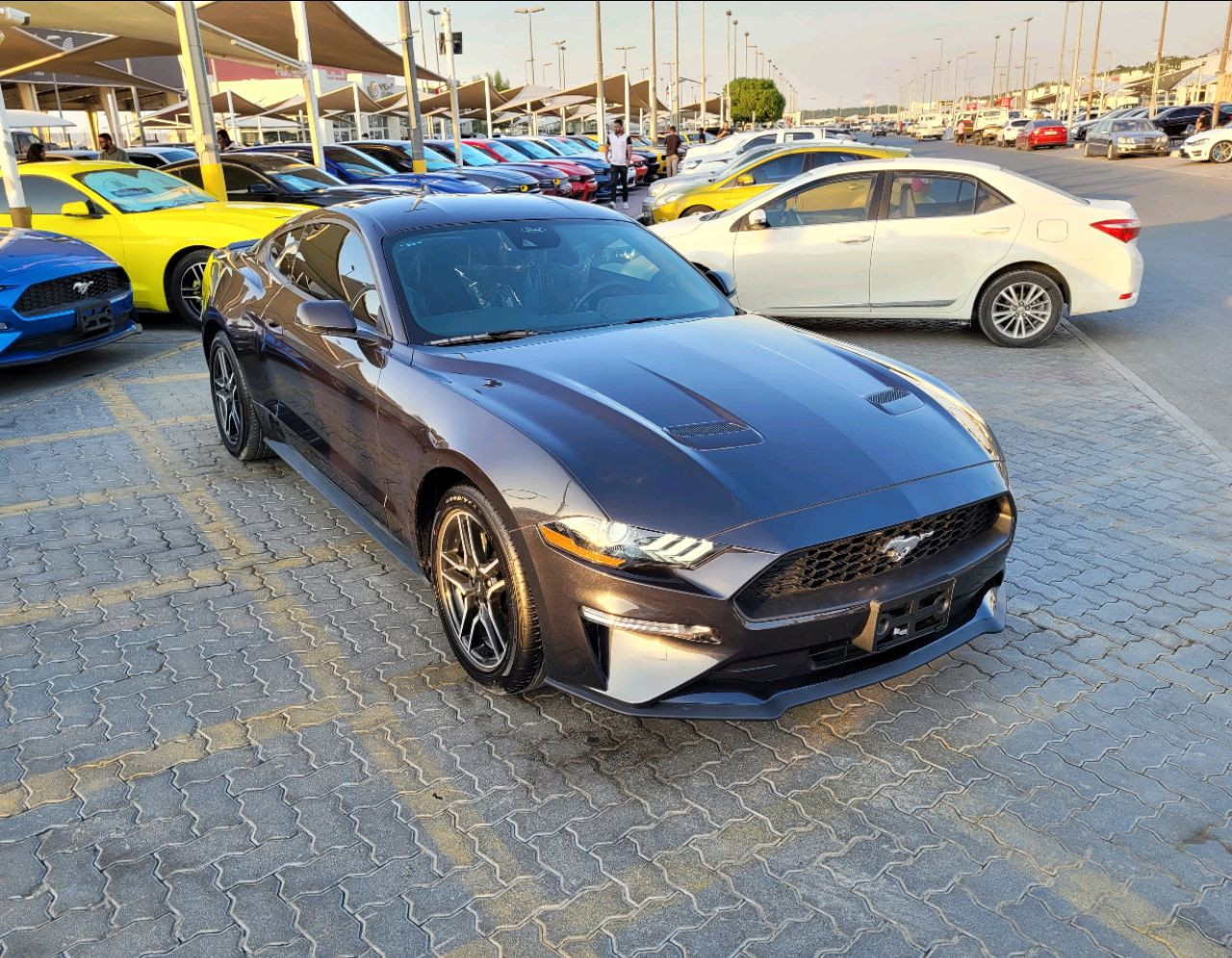 Ford Mustang - Image 3