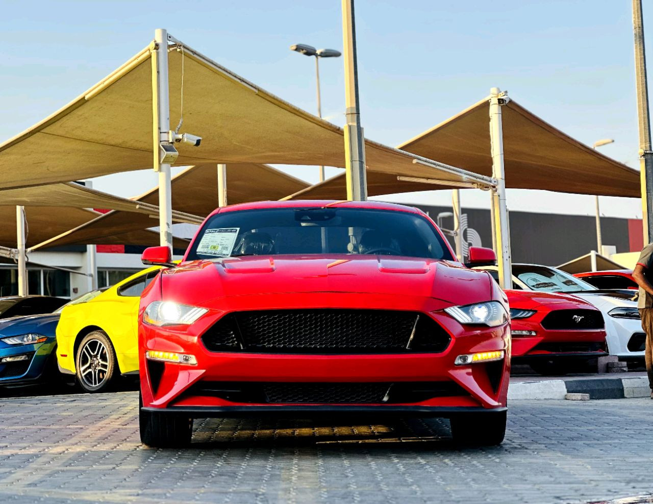 Ford Mustang - Image 3