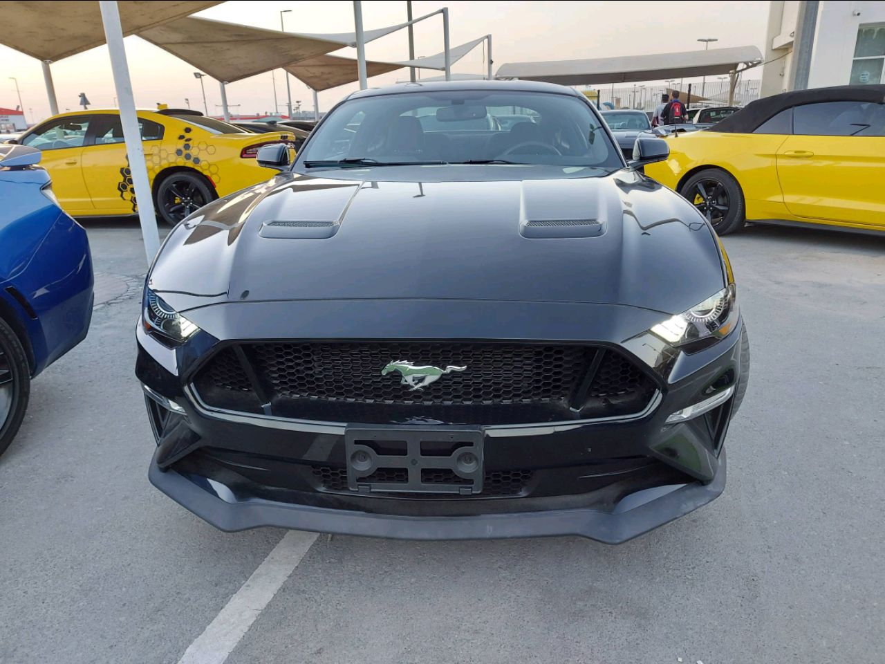 Ford Mustang - Image 4