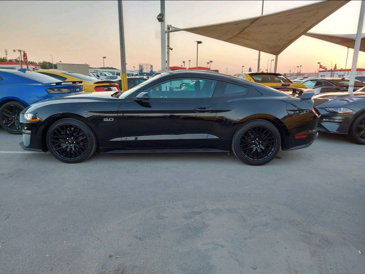 Ford Mustang - Image 5