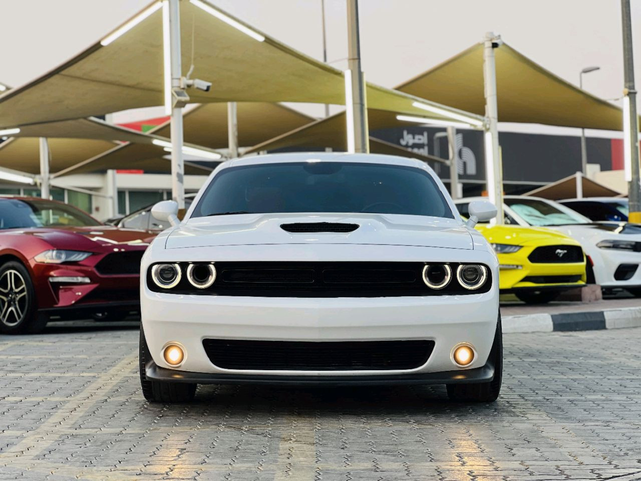 Dodge Challenger - Image 3