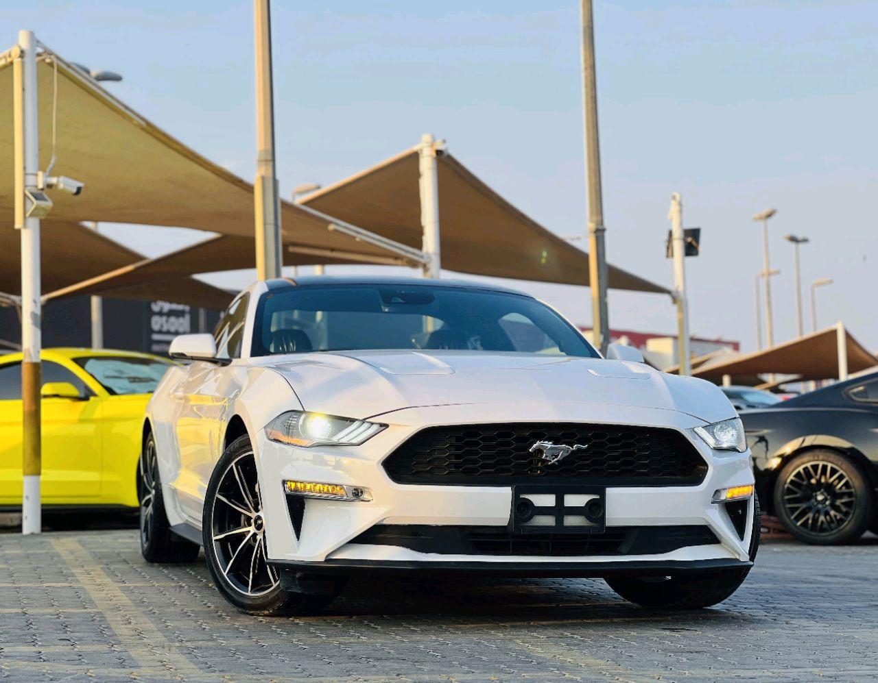 Ford Mustang - Image 4