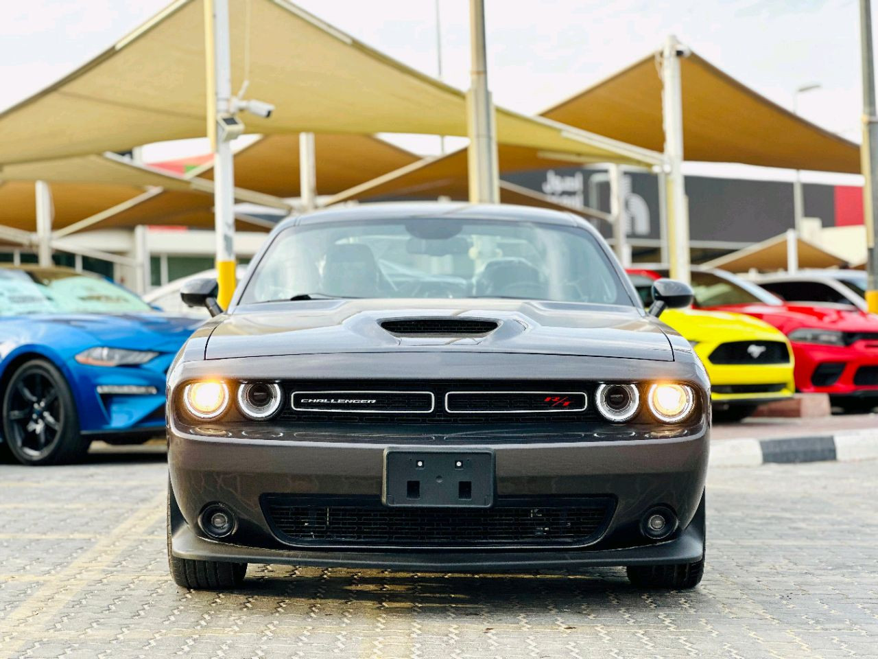 Dodge Challenger - Image 3