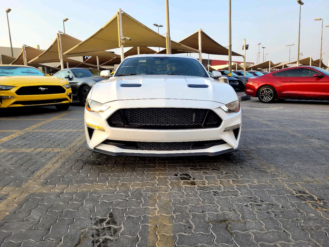 Ford Mustang - Image 4
