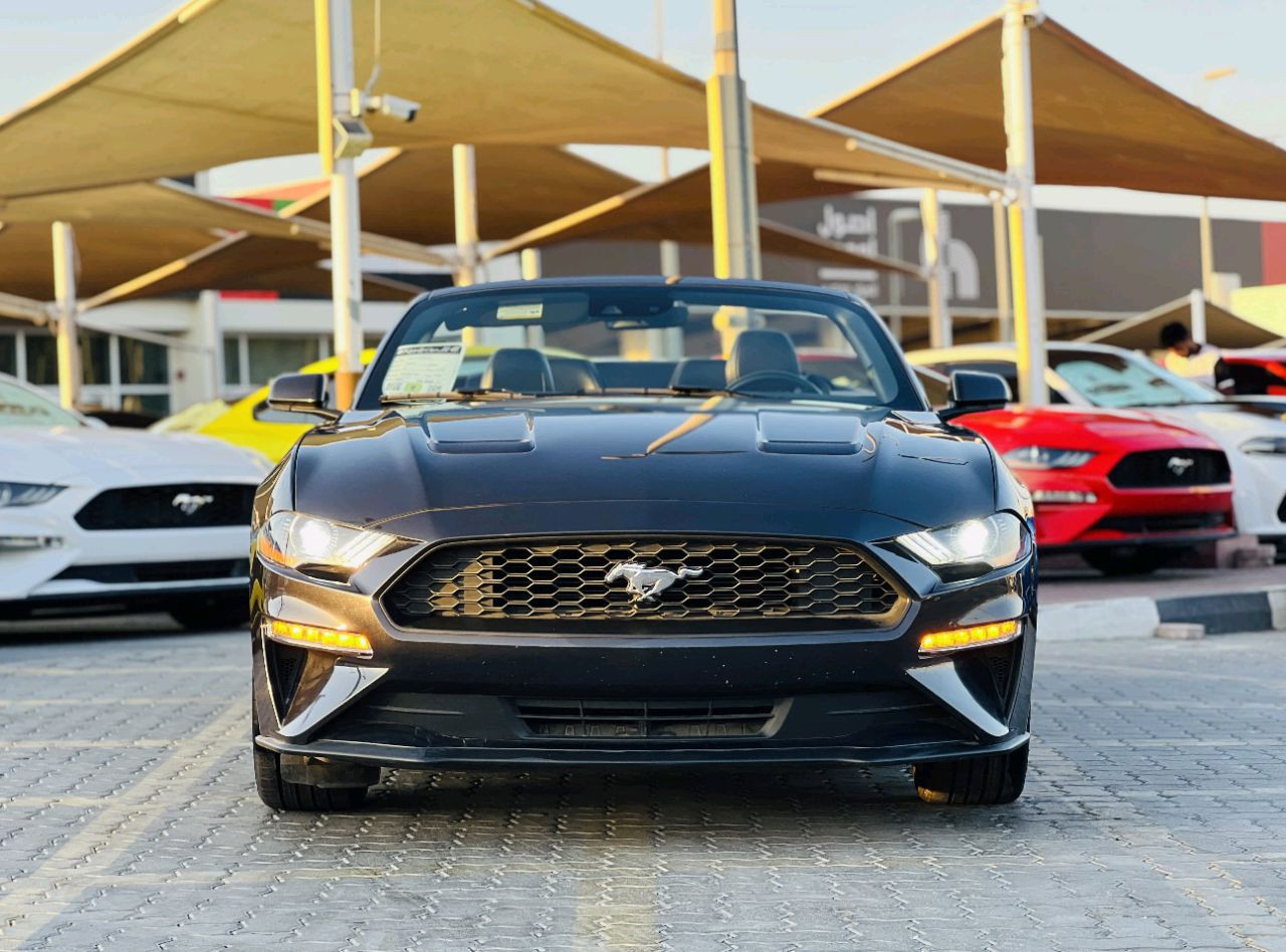 Ford Mustang - Image 3