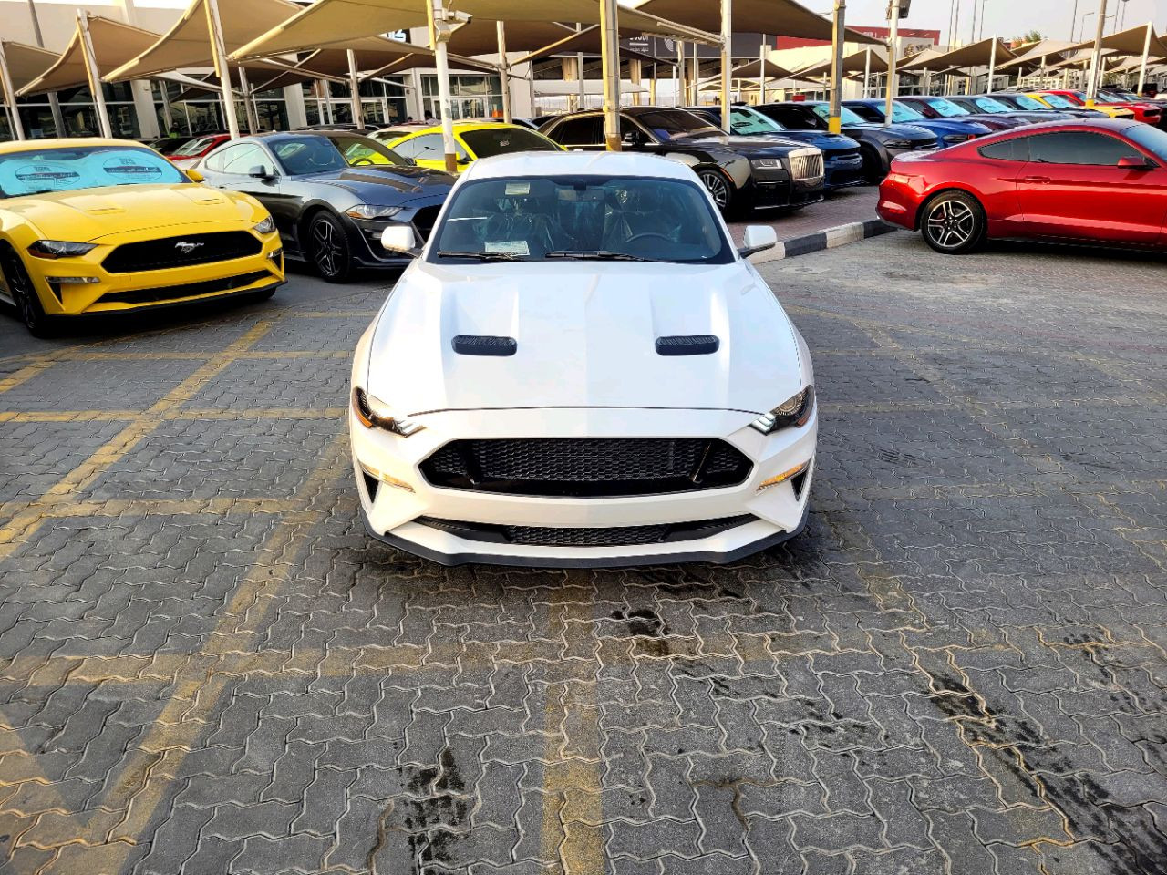 Ford Mustang - Image 3
