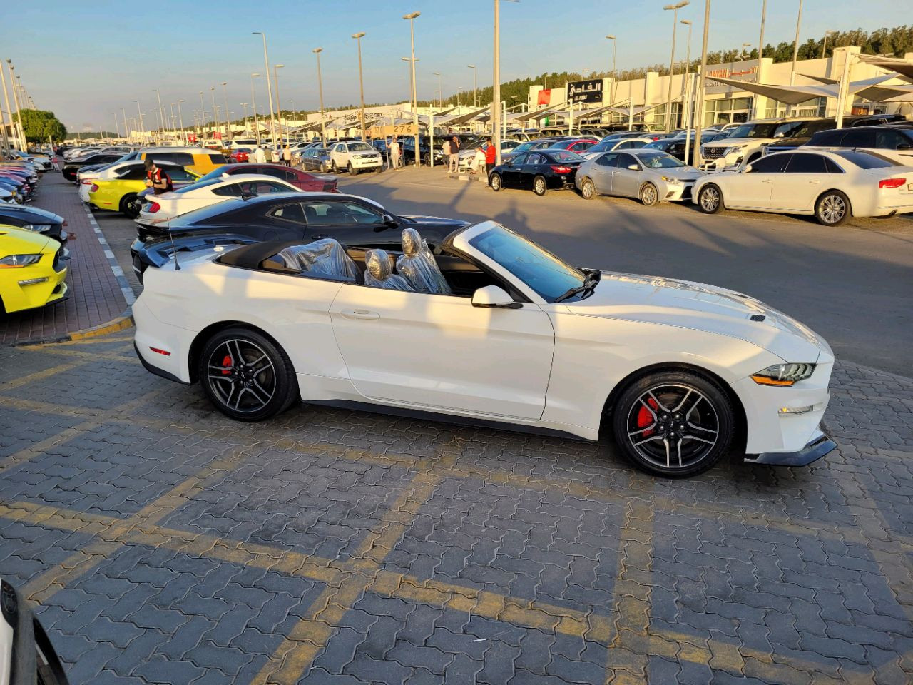 Ford Mustang - Image 5