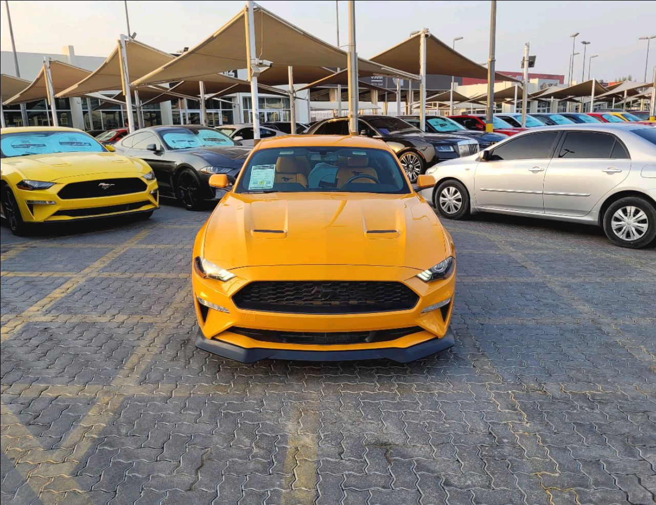 Ford Mustang - Image 4
