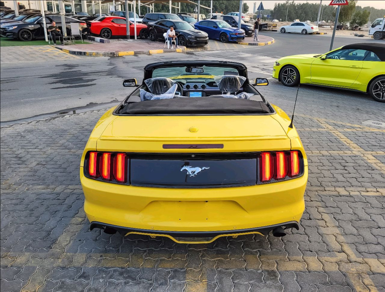Ford Mustang - Image 7