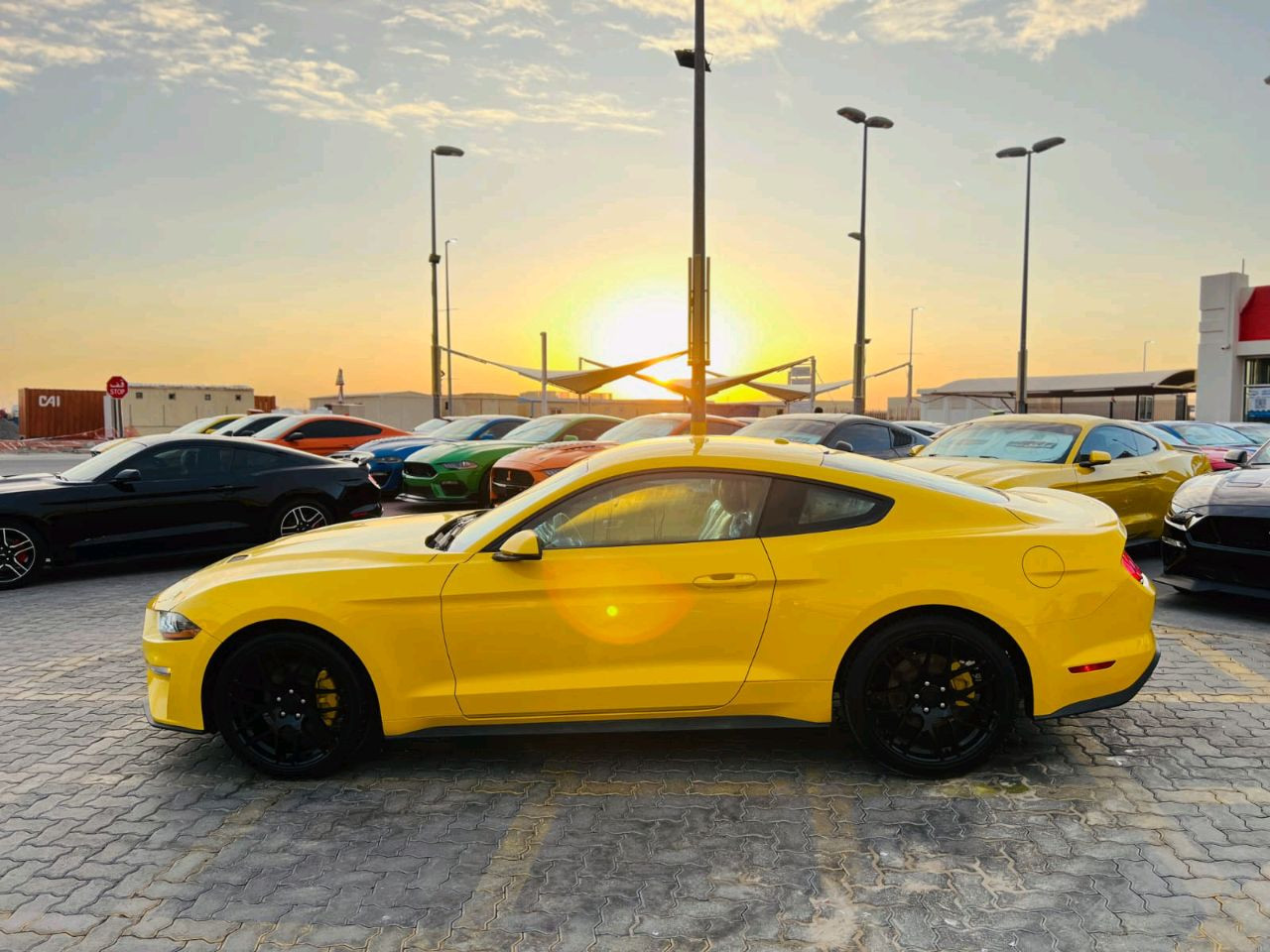 Ford Mustang - Image 6