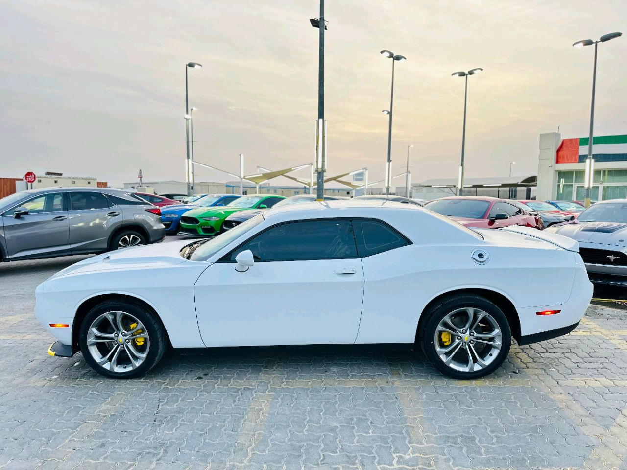 Dodge Challenger - Image 6
