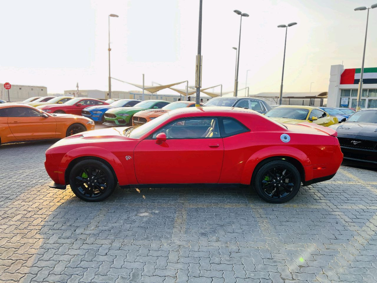 Dodge Challenger - Image 6