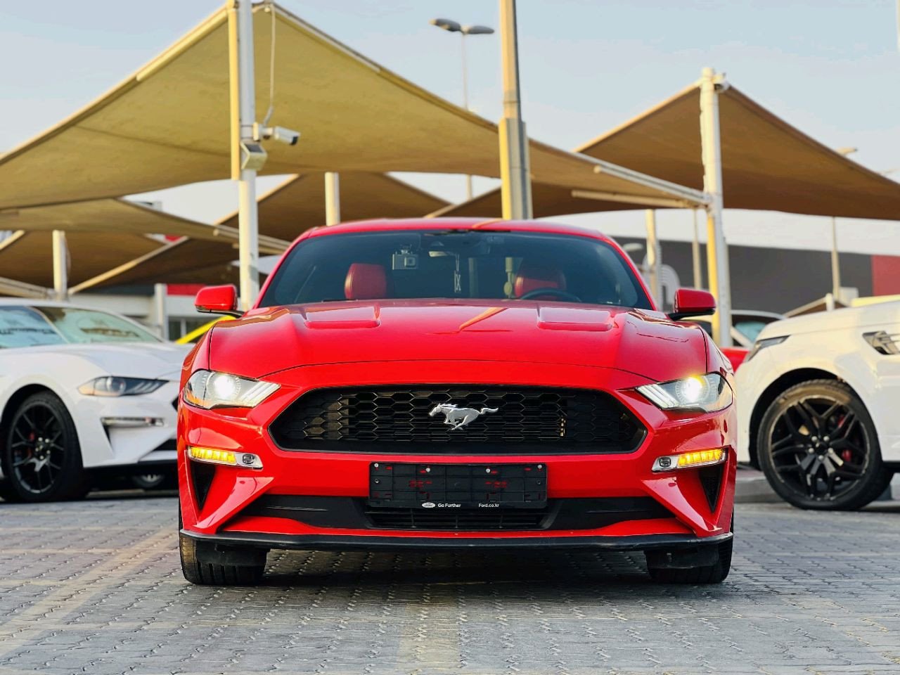 Ford Mustang - Image 5