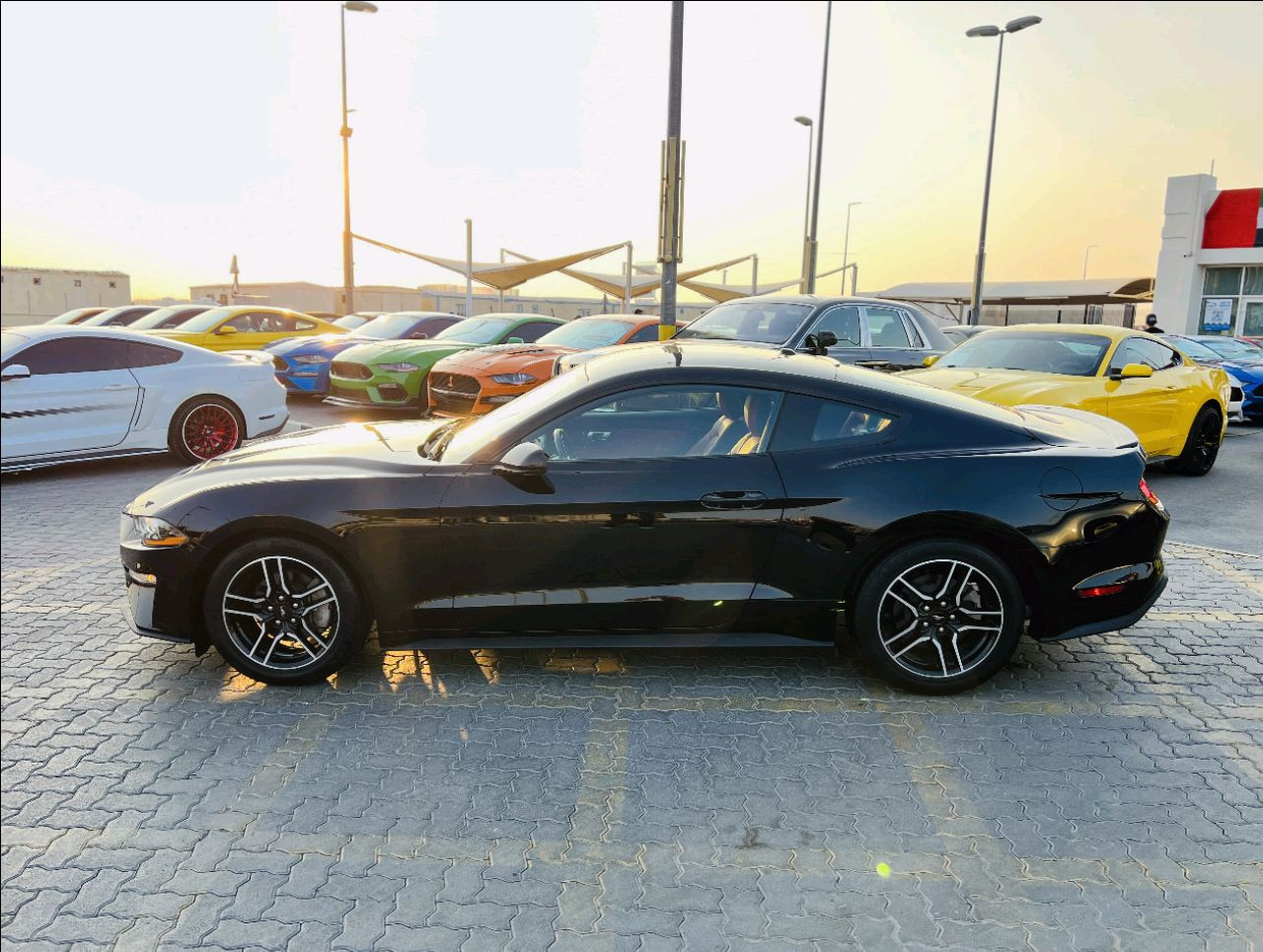 Ford Mustang - Image 6