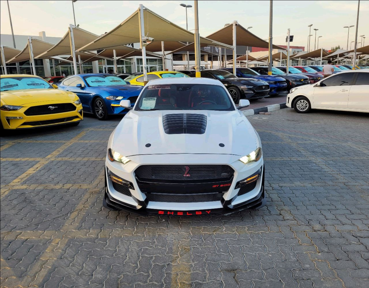 Ford Mustang - Image 3
