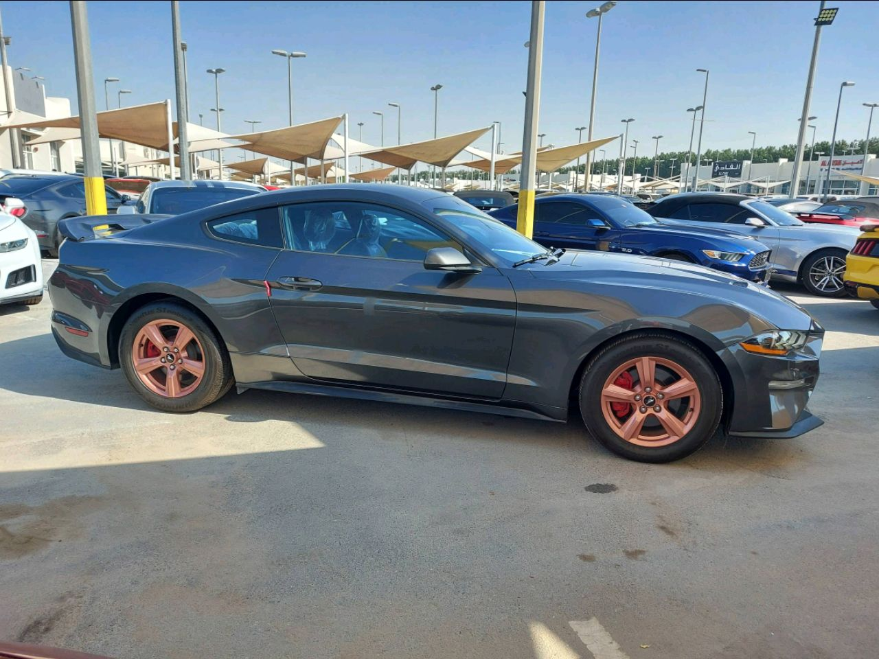 Ford Mustang - Image 5