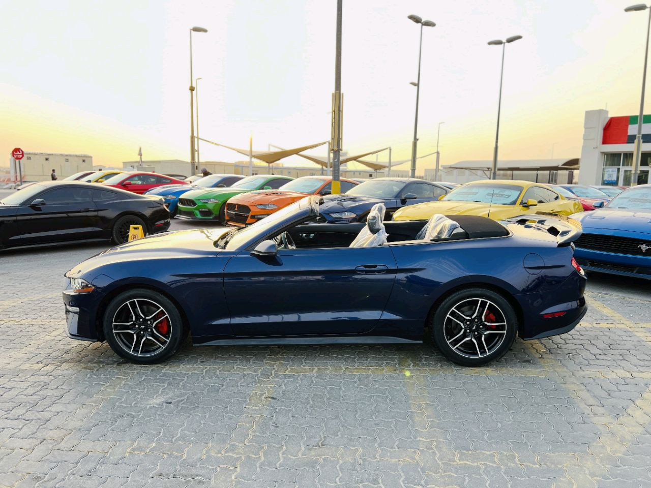 Ford Mustang - Image 6