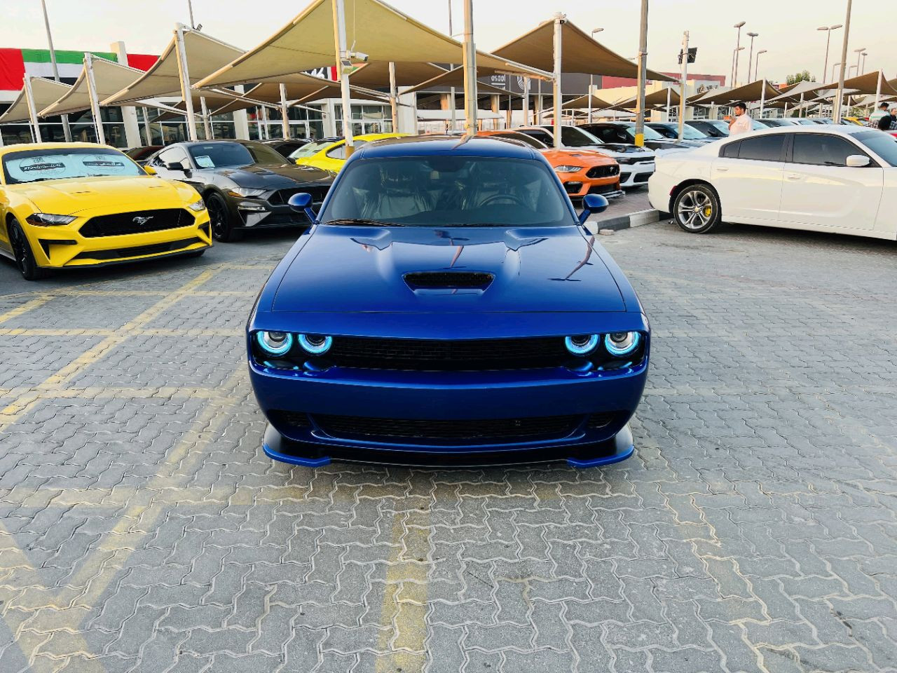 Dodge Challenger - Image 4
