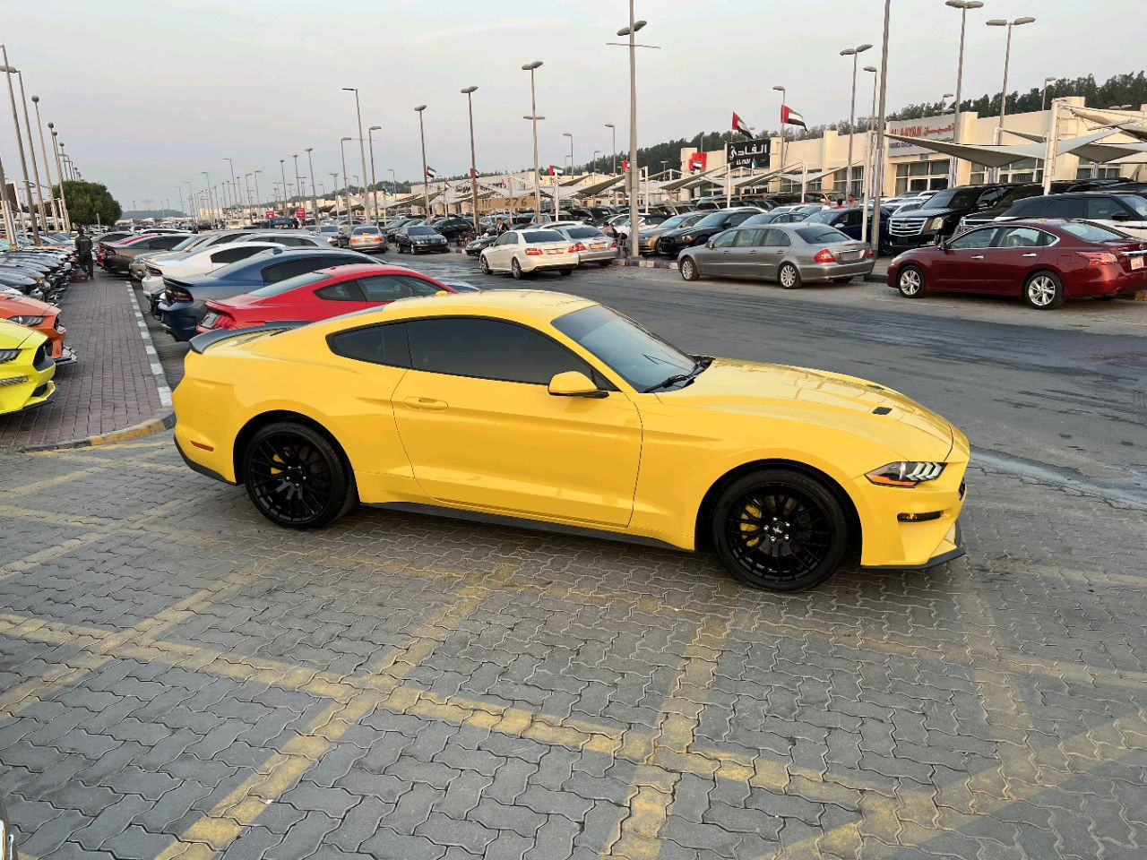Ford Mustang - Image 5