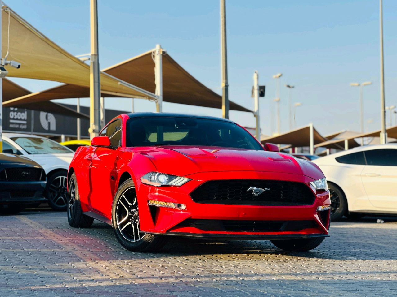 Ford Mustang - Image 4