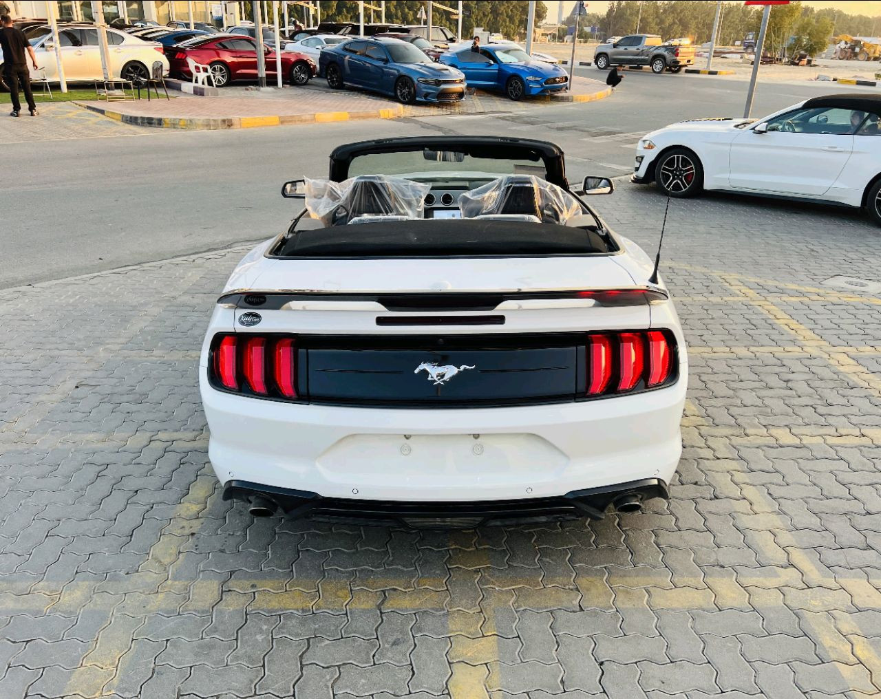 Ford Mustang - Image 2