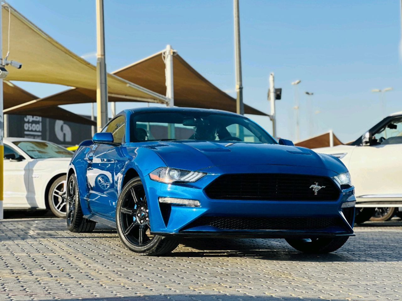 Ford Mustang - Image 4