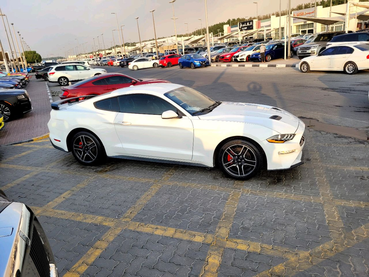 Ford Mustang - Image 7