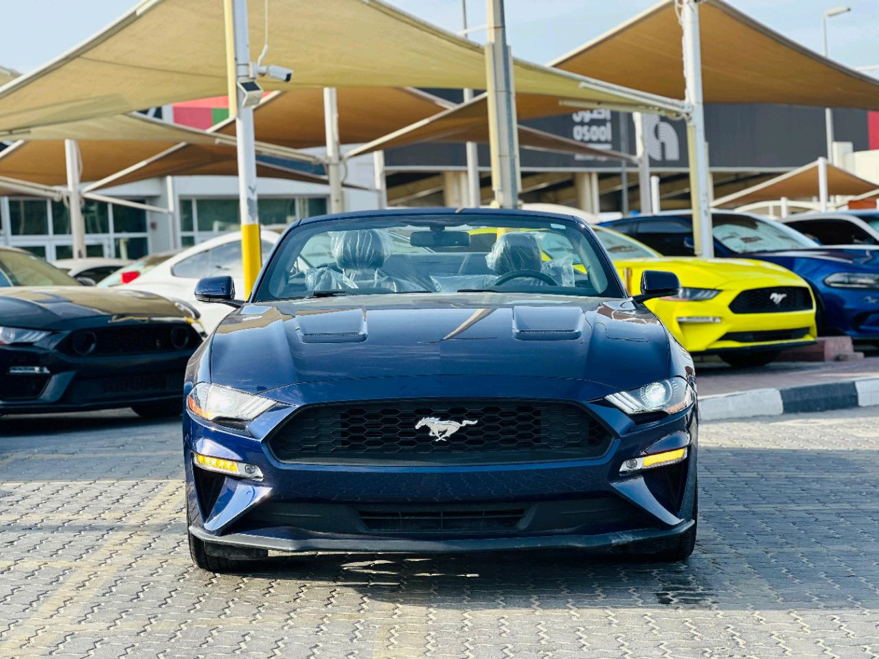 Ford Mustang - Image 3