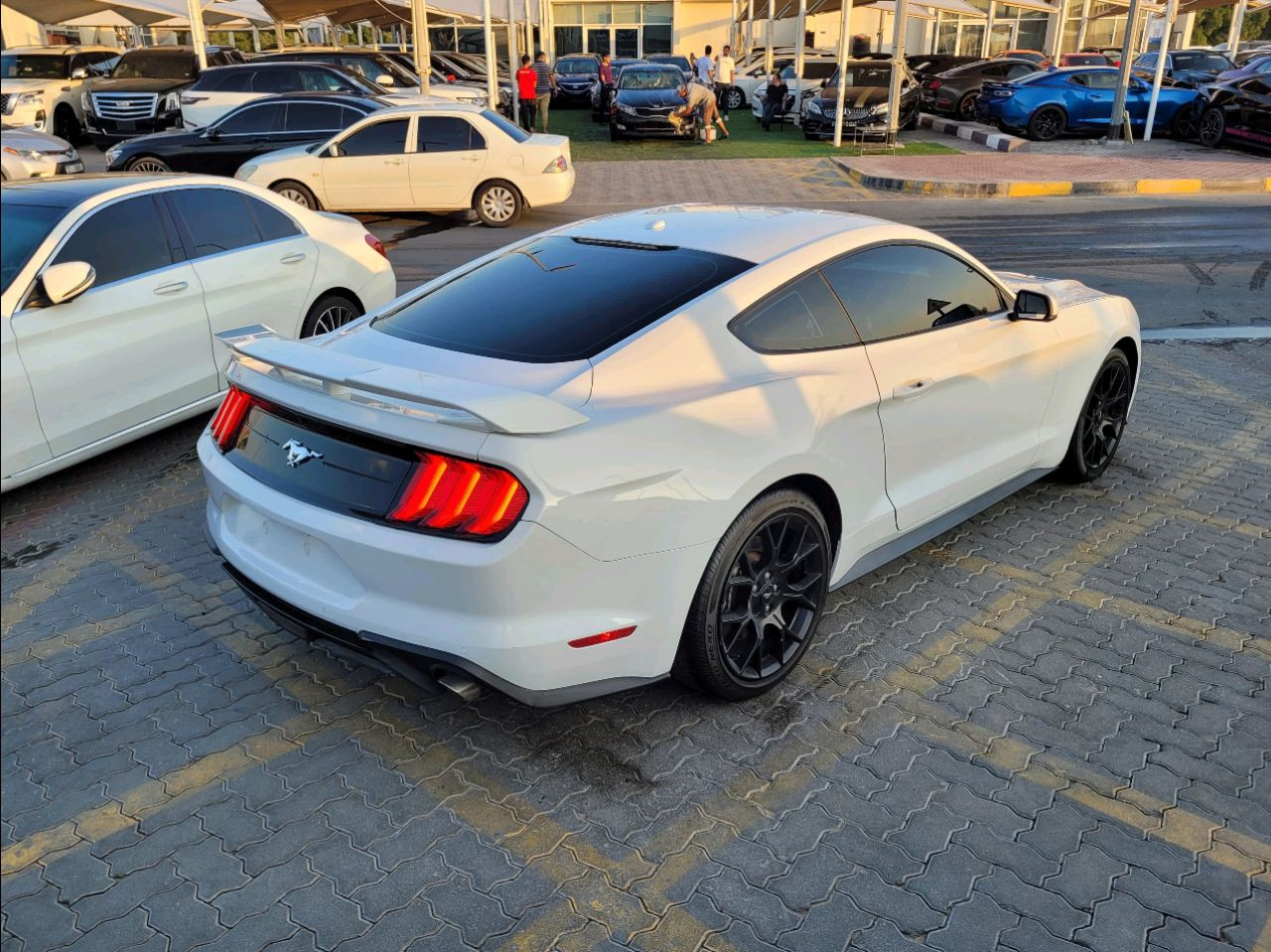 Ford Mustang - Image 5