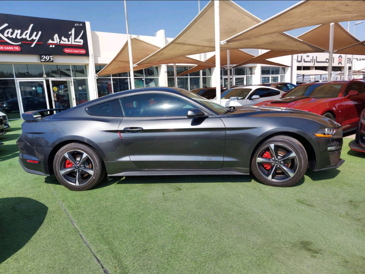 Ford Mustang - Image 5