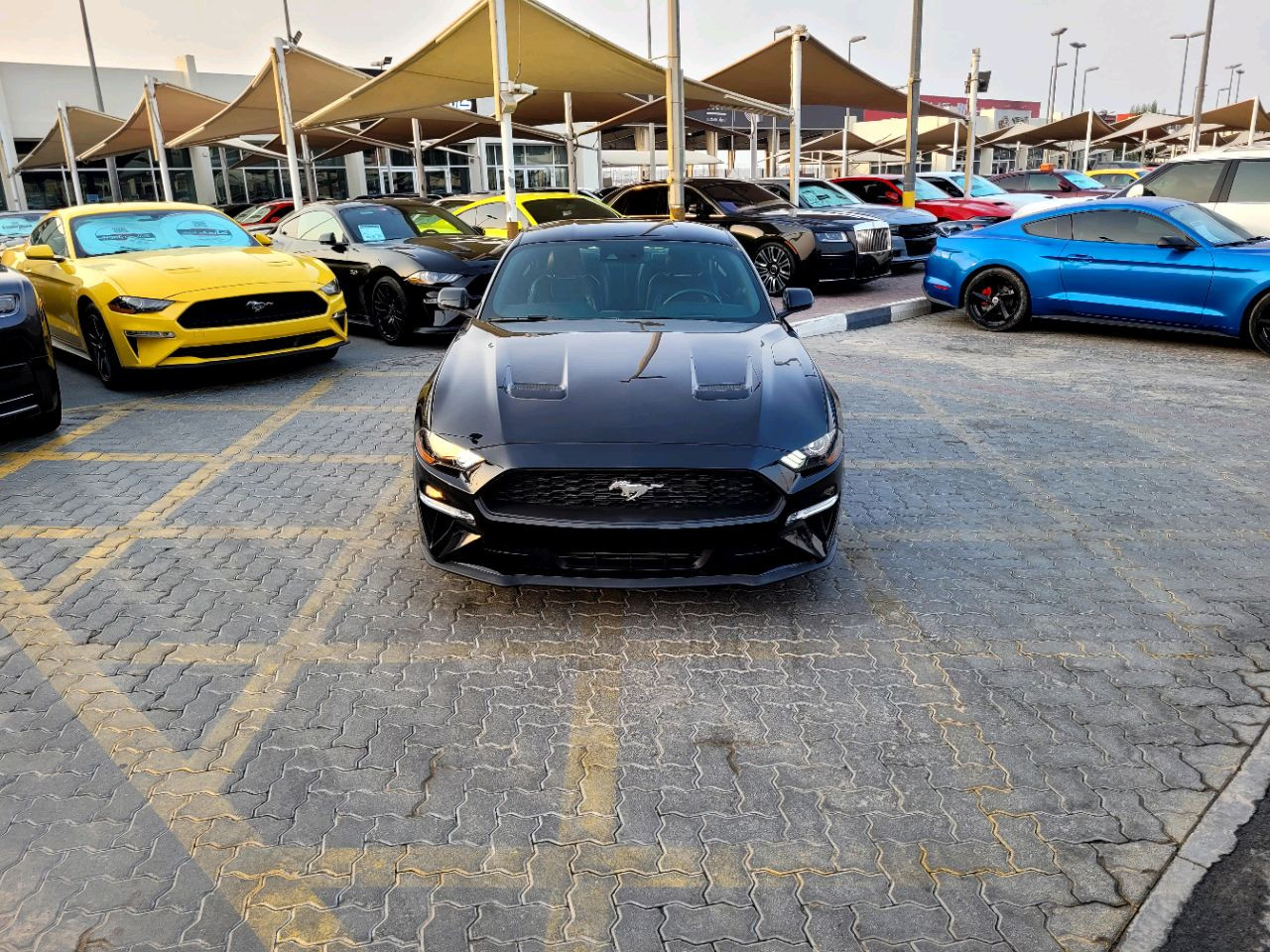 Ford Mustang - Image 3