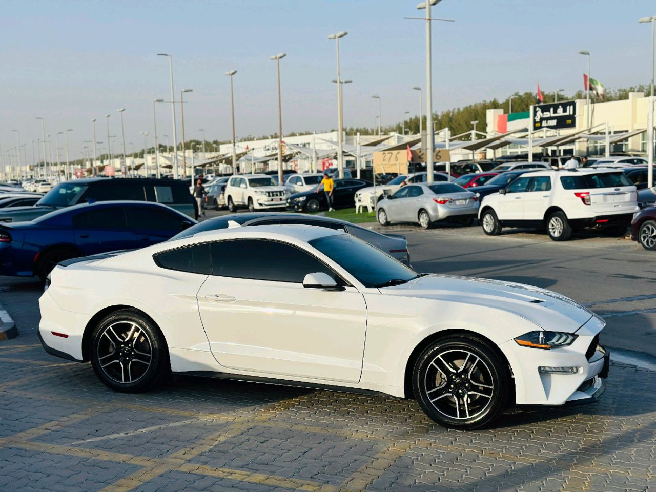 Ford Mustang - Image 6