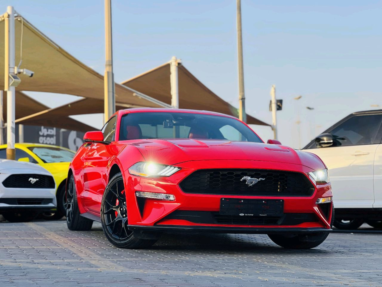 Ford Mustang - Image 6