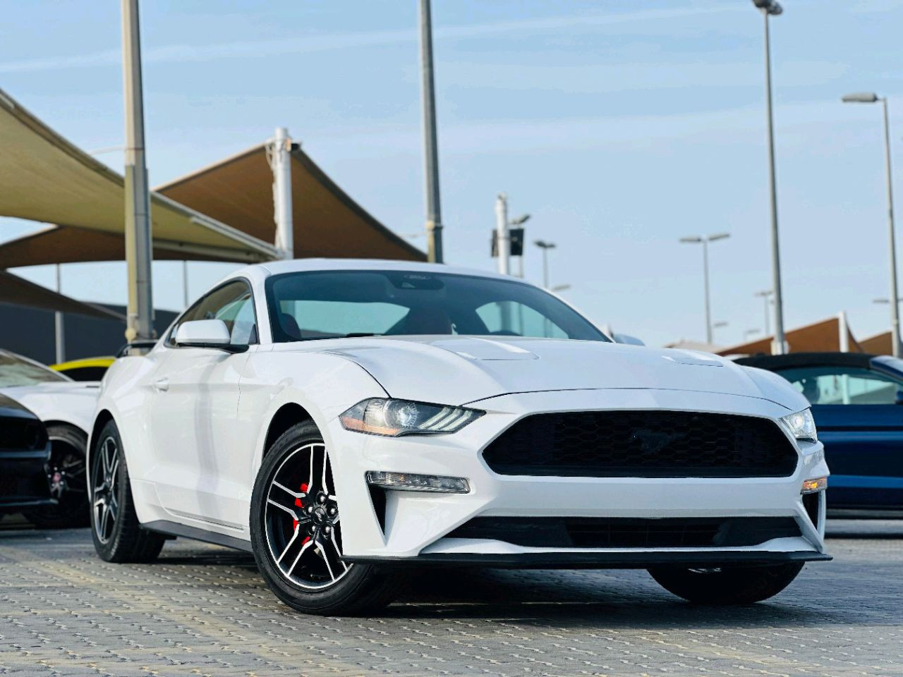 Ford Mustang - Image 4