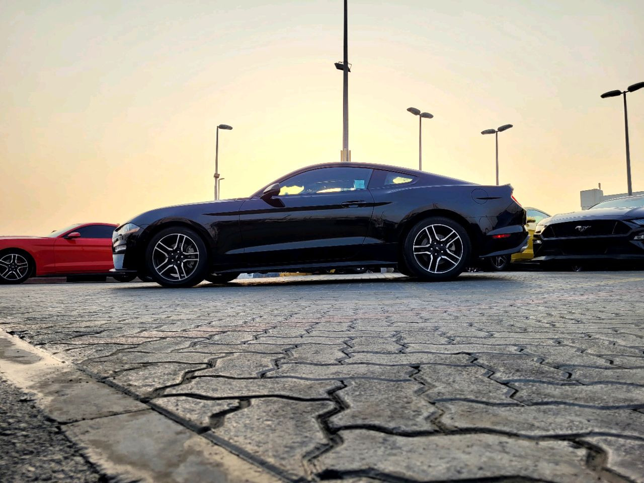 Ford Mustang - Image 6