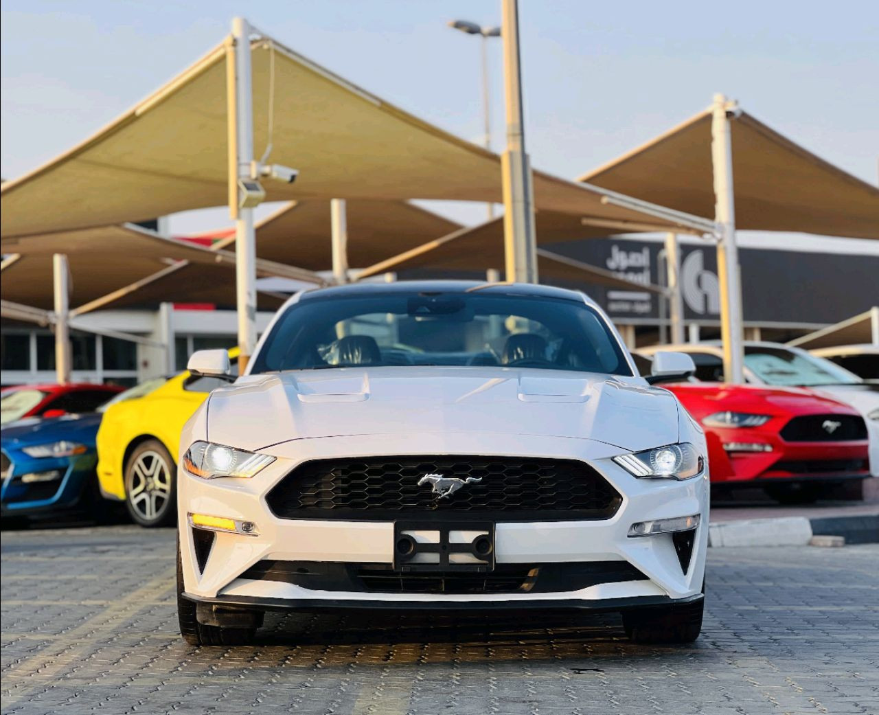 Ford Mustang - Image 3