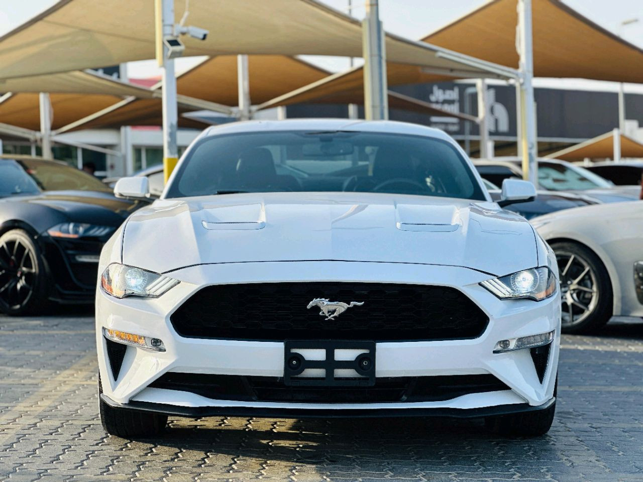 Ford Mustang - Image 4