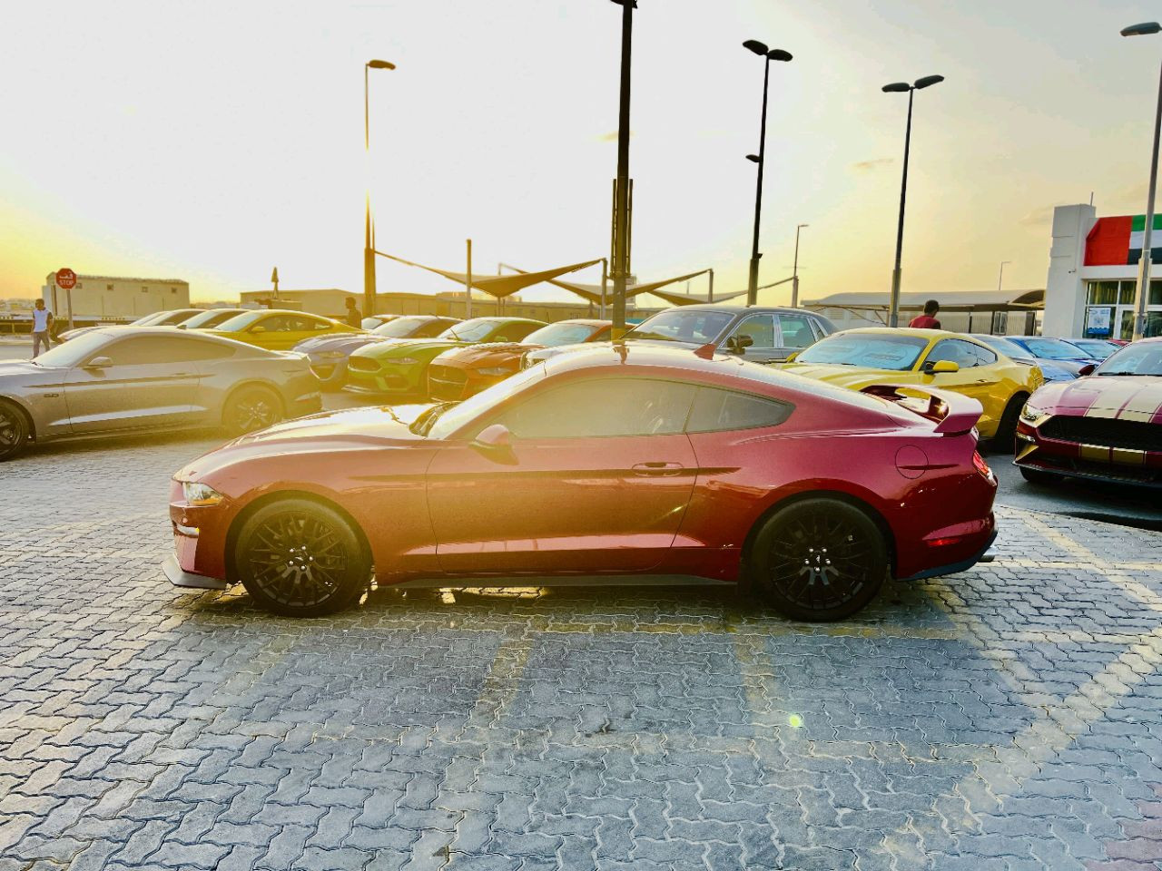 Ford Mustang - Image 6