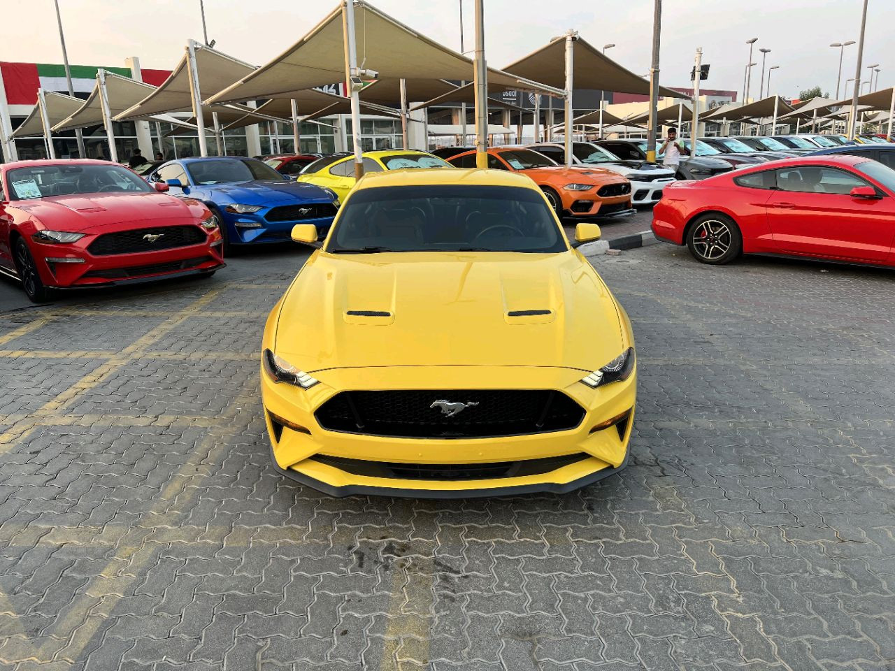 Ford Mustang - Image 4